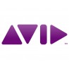 AVID S1 Surface De Controle