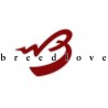 BREEDLOVE DISCOVERY S CONCERT CE EDGE